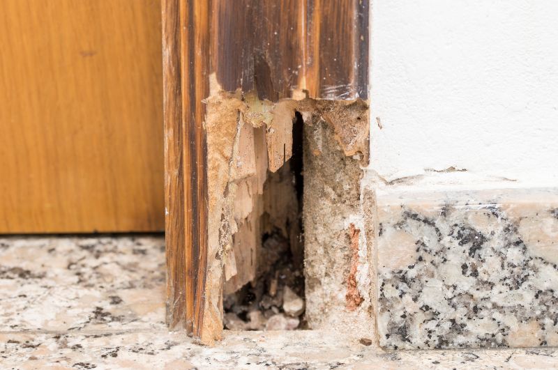 Door Frame Repair in Conroe, TX