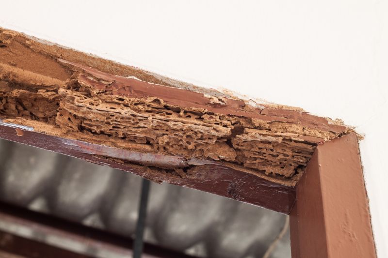 Rotting Door Repair in Conroe, TX